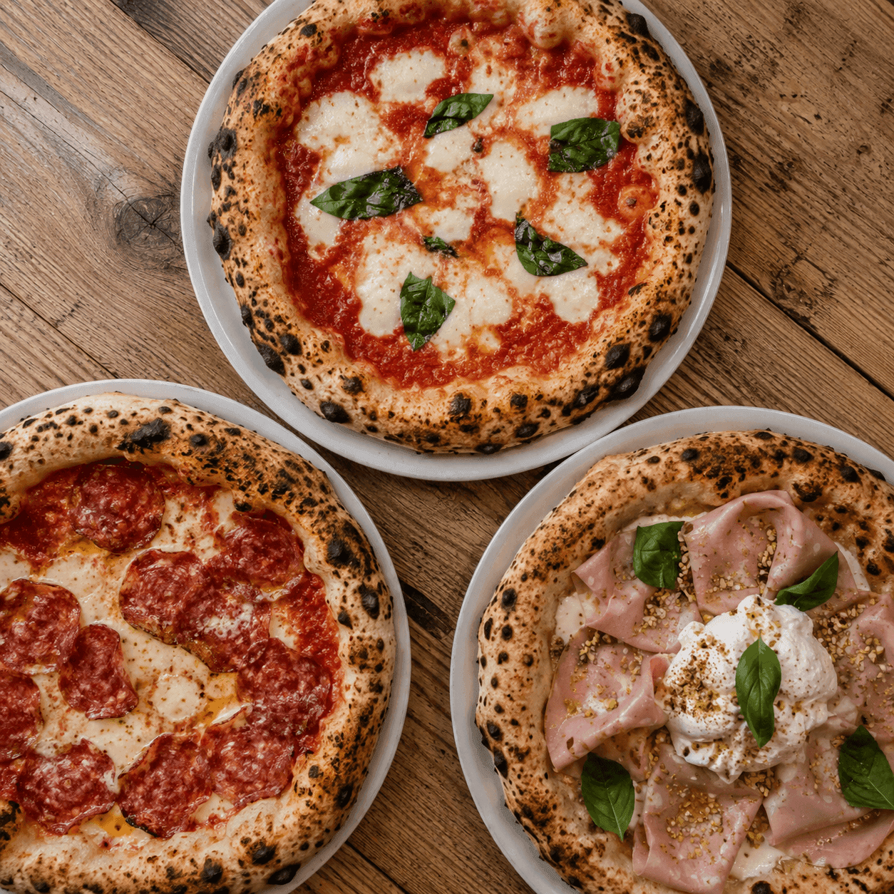 Frische Zutaten auf einen Blick: Tomaten, Mozzarella, Basilikum, Olivenöl